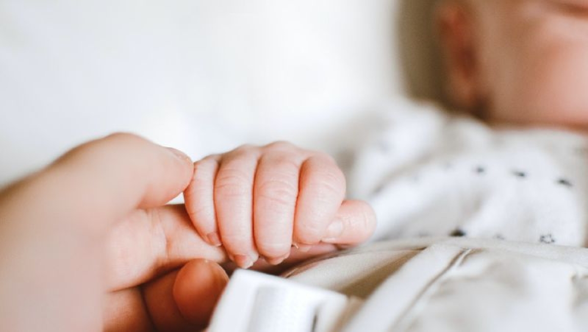 В день республиканского референдума в Казахстане родились 585 детей