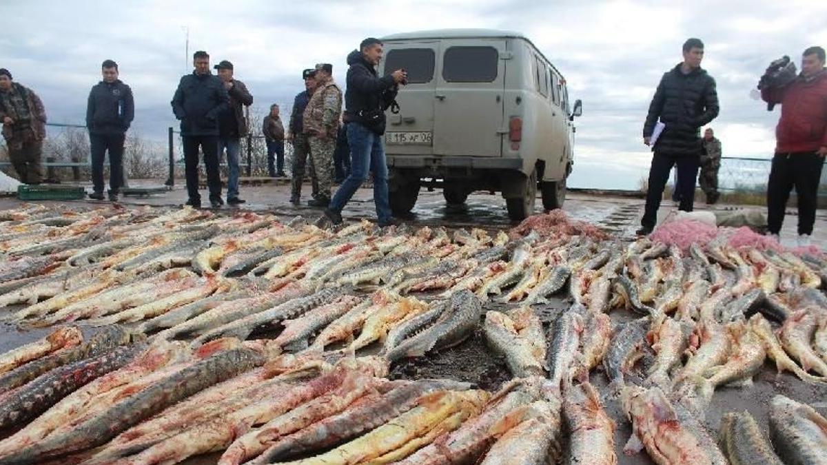 Сотрудники природоохранной полиции ВКО задержали браконьера за незаконный лов рыбы