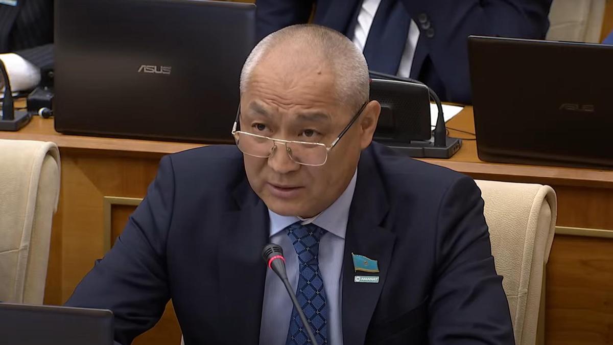 Общественники и депутаты требуют проверить зоозащитные организации