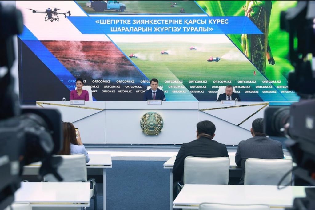 Борьбу с саранчой в Казахстане в 2026 году планируют провести на площади 2,2 млн гектаров