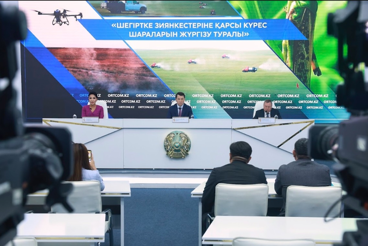 Борьбу с саранчой в Казахстане в 2026 году планируют провести на площади 2,2 млн гектаров