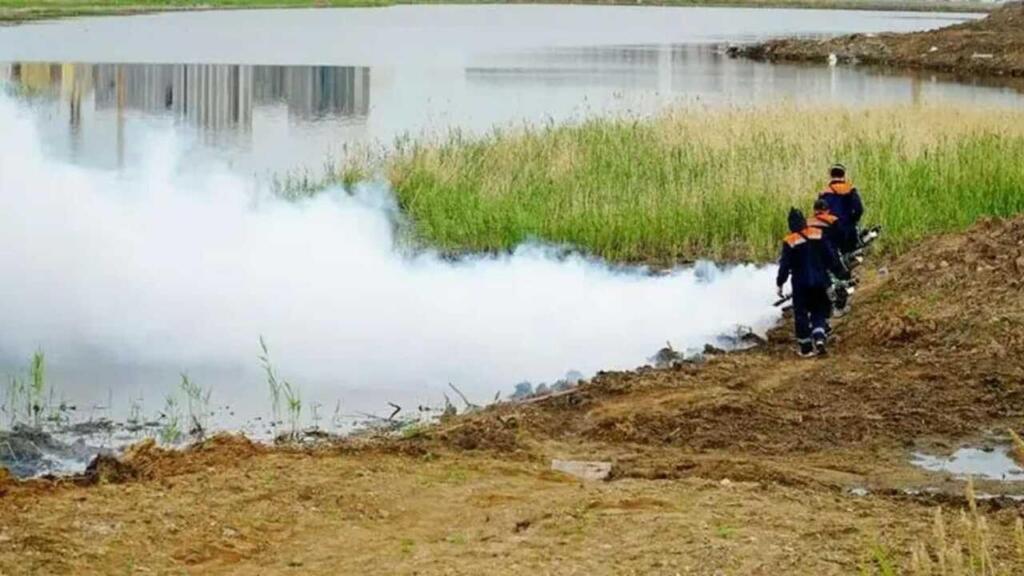 В Астане стартовал третий тур дезинсекционных работ против комаров