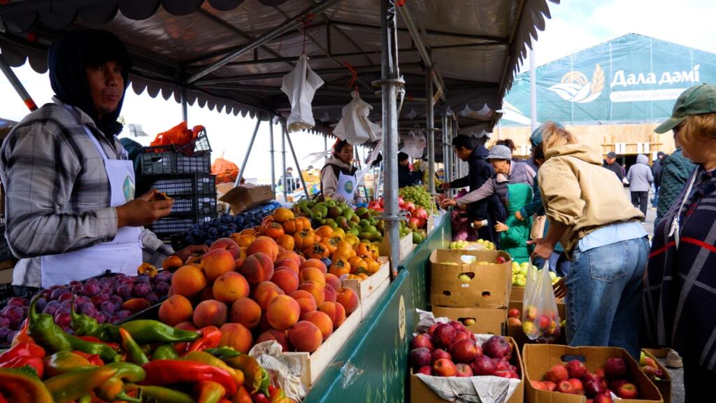 В Астану доставили более 400 тонн сельхозпродукции из трех областей