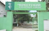 Мощность Коксуского сахарного завода по переработке свеклы будет увеличена до 3 тыс. тонн в сутки