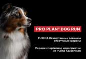 Purina Kazakhstan и Alpha Dog проведут в Алматы Pro Plan Dog Run