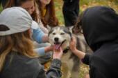 В Астане прошел арт-пикник Purina «Давай поможем»: 28 питомцев нашли новый дом