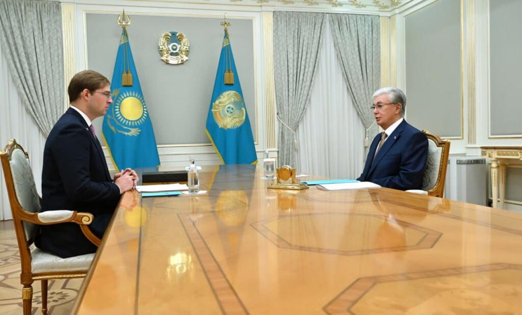 Глава государства принял президента Международной федерации шахмат (FIDE) Тимура Турлова