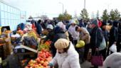 Более 140 производителей из двух областей представили продукцию на сельскохозяйственной ярмарке в Астане