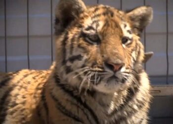 Фото: Рашида Исмагилова/Lada.kz