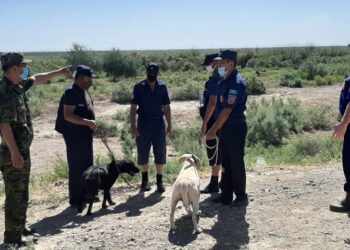 Поиски солдата. Optimizm.kz