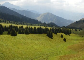 «Кок-Жайляу». Optimizm.kz