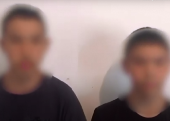 Подожгли щенка. Optimizm.kz