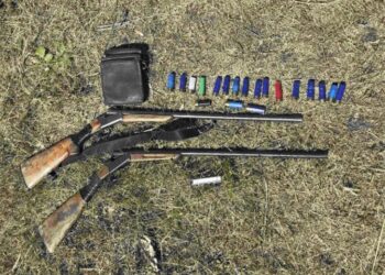 Незаконная охота. Optimizm.kz