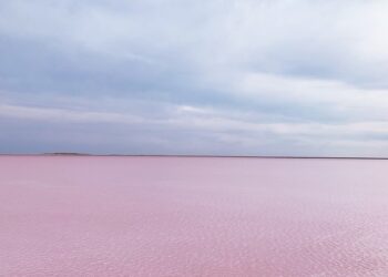 Розовое озеро Кобейтуз, Казахстан. Optimizm.kz