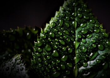 Прогноз погоды в Казахстане: Лето, дождь. Optimizm.kz