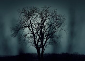 Дерево. Optimizm.kz