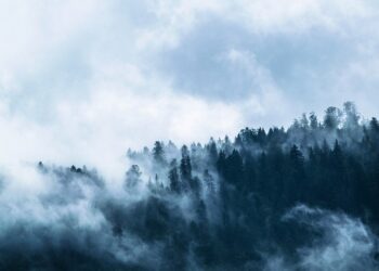 Туман. Optimism.kz