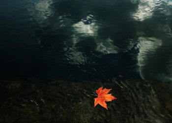 Прогноз погоды в Казахстане: осень, тепло. Optimism.kz