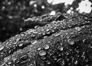 Прогноз погоды в Казахстане: Лето, дождь. Optimizm.kz