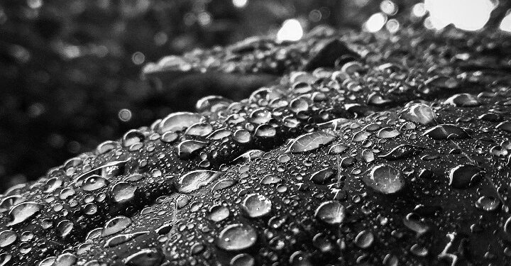 Прогноз погоды в Казахстане: Лето, дождь. Optimizm.kz