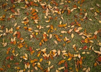 Прогноз погоды: осень. Optimism.kz