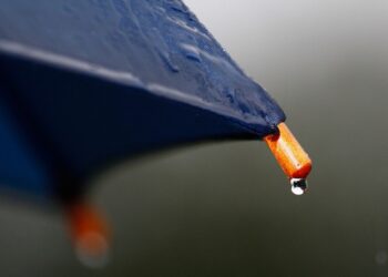 Прогноз погоды: осень, дождь. Optimism.kz