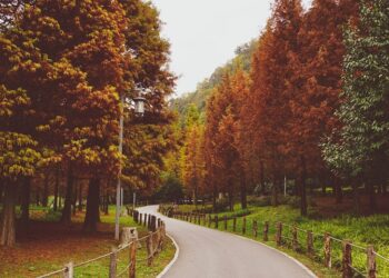 Прогноз погоды: осень, сентябрь. Optimism.kz