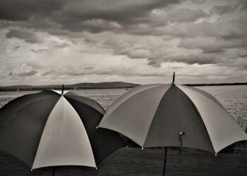 Прогноз погоды: осень, дождь.