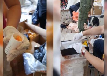 Нарколобартория. Optimism.kz