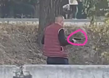 Фото: кадр видео