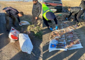 Фото: Polisia.kz