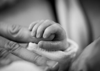 Иллюстративное фото \ Pixabay.com