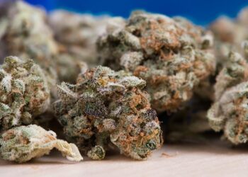 Иллюстративное фото / Pixabay.com