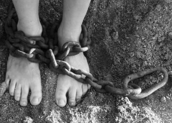 Иллюстративное фото \ Pixabay.com