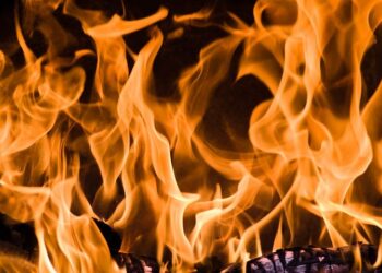 Иллюстративное фото \ Pixabay.com