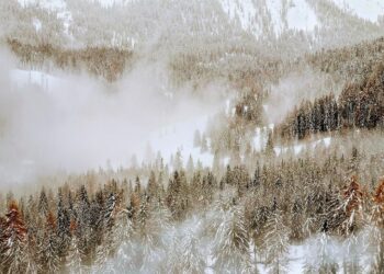 Иллюстративное фото \ Pixabay.com