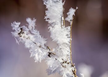 Заморозки. Optimism.kz