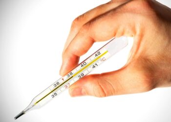 Фото: Zabrab75.ru