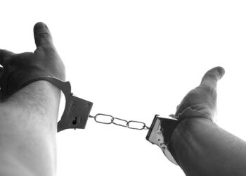 Иллюстративное фото \ Pixabay.com