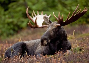 Фото: РИА Новости. Алина Полянина