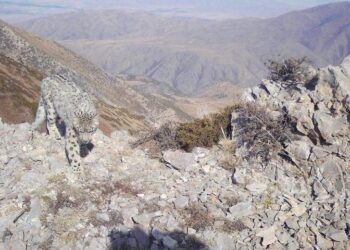 Фото : Министерство экологии, геологии и природных ресурсов РК