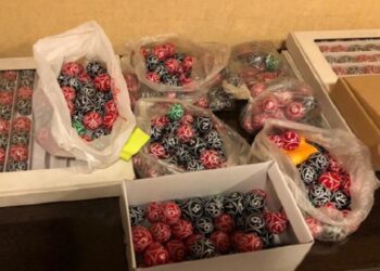 Фото: КНБ РК