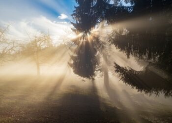 Иллюстративное фото \ Pixabay.com