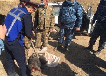 Фото: Polisia.kz