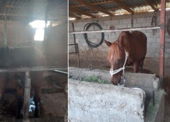 Фото: Polisia.kz