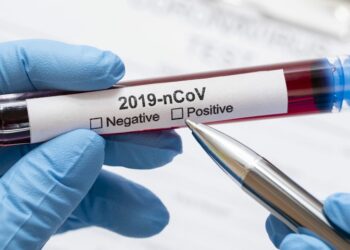 Фото: Tulapressa.ru