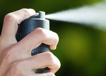 Иллюстративное фото \ mediazavod.ru