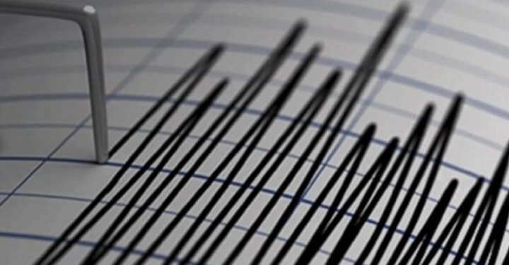 Фото: Newtimes.kz