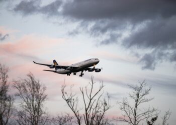 Иллюстративное фото \ Pixabay.com