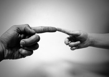 Иллюстративное фото \ Pixabay.com